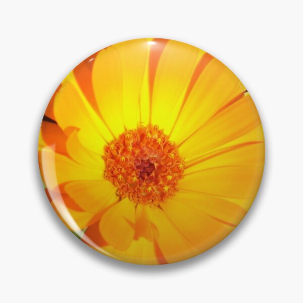 Item preview, calendula designed and sold by Ramon Labusch.