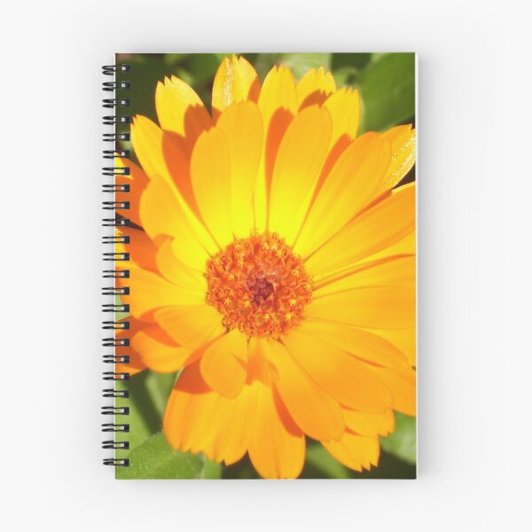 Item preview, calendula designed and sold by Ramon Labusch.