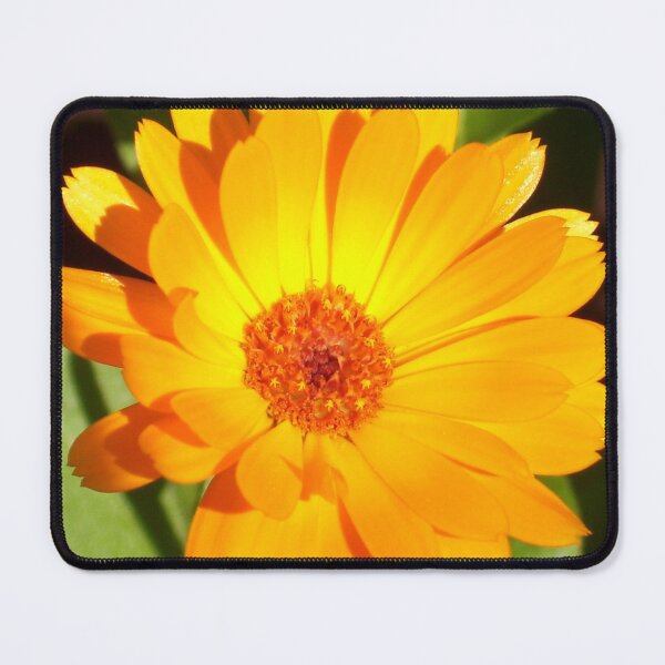 Item preview, calendula designed and sold by Ramon Labusch.