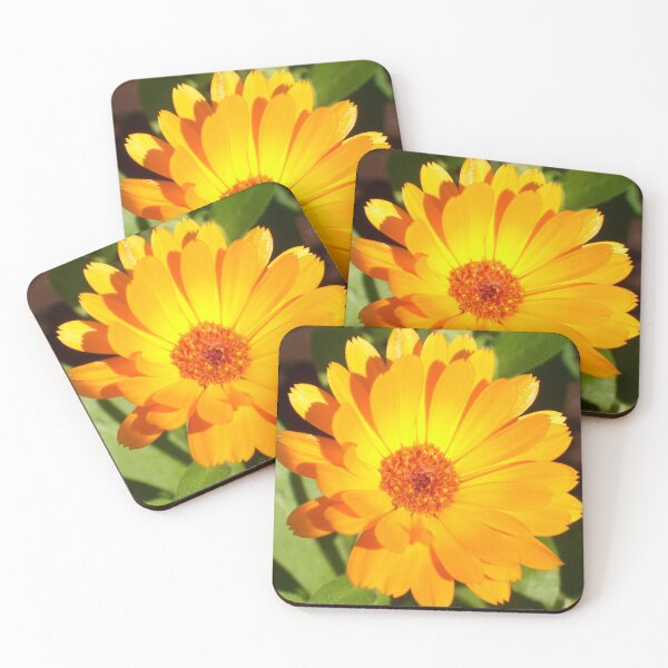 Item preview, calendula designed and sold by Ramon Labusch.