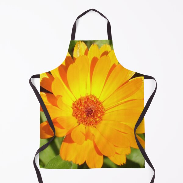 Item preview, calendula designed and sold by Ramon Labusch.