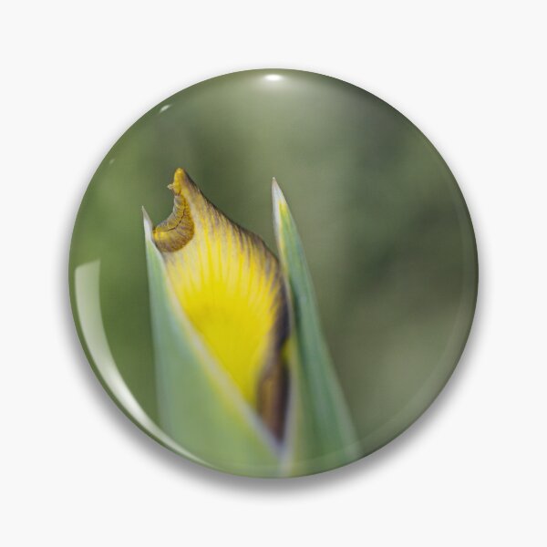 Item preview, Yellow And Purple Iris Bud designed and sold by Joy Watson - Natural Light Photography .