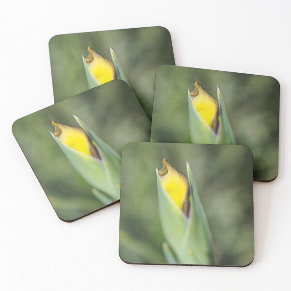 Item preview, Yellow And Purple Iris Bud designed and sold by Joy Watson - Natural Light Photography .
