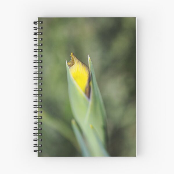 Item preview, Yellow And Purple Iris Bud designed and sold by Joy Watson - Natural Light Photography .