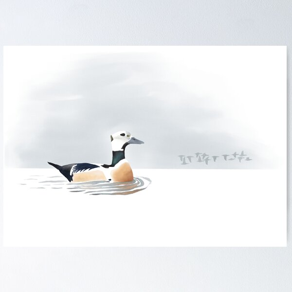 Item preview, Adult male breeding plumaged Steller's Eider designed and sold by AndrasVasasArt.