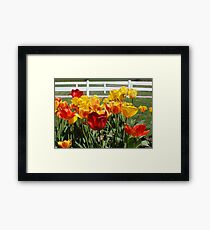Tulip Patch Framed Print