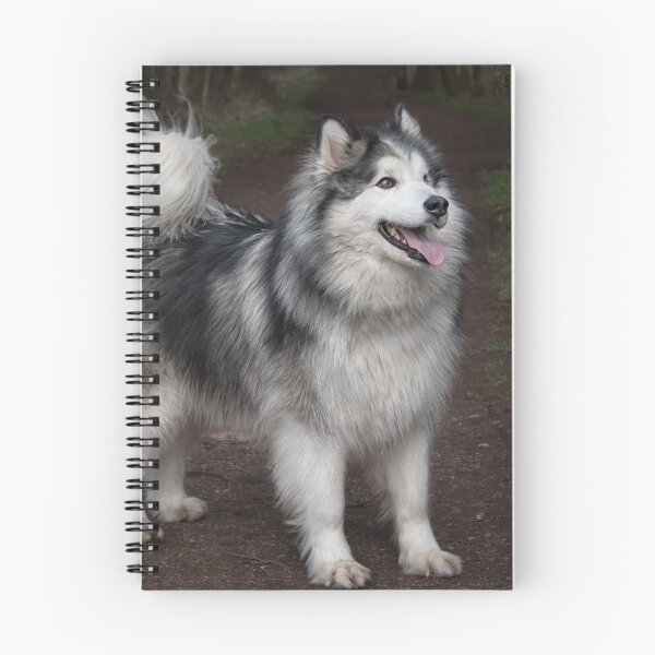 Item preview, Portrait of a malamute designed and sold by alan tunnicliffe.