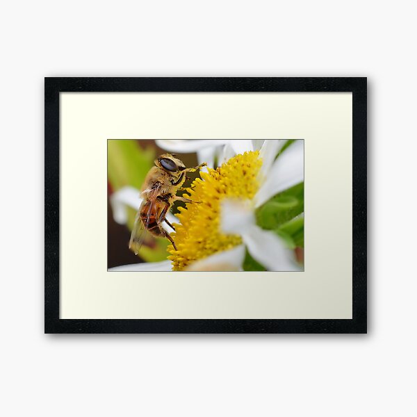 Item preview, Pollen Collector designed and sold by relayer51.