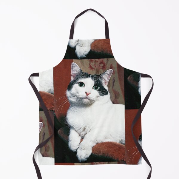Item preview, r367/ New Finition nov 2022 " The " Pirate " un Chat love - Canon eos 5 28-70 mm f.2.8 avec Studio Portable et 3 Boites à Lumière Okaio by Olavia Olao designed and sold by o.okaïo.