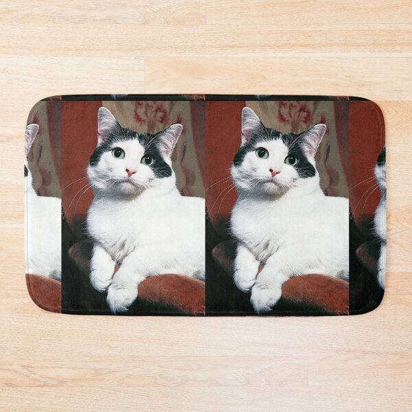 Item preview, r367/ New Finition nov 2022 " The " Pirate " un Chat love - Canon eos 5 28-70 mm f.2.8 avec Studio Portable et 3 Boites à Lumière Okaio by Olavia Olao designed and sold by o.okaïo.