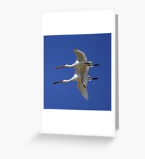 Mother and Child Spoonbill Greeting Card