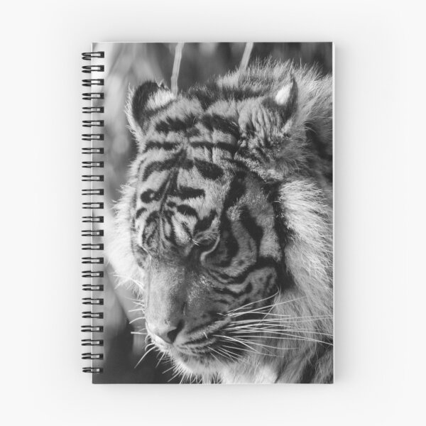 Item preview, Tigre pensativo designed and sold by John Stoves.
