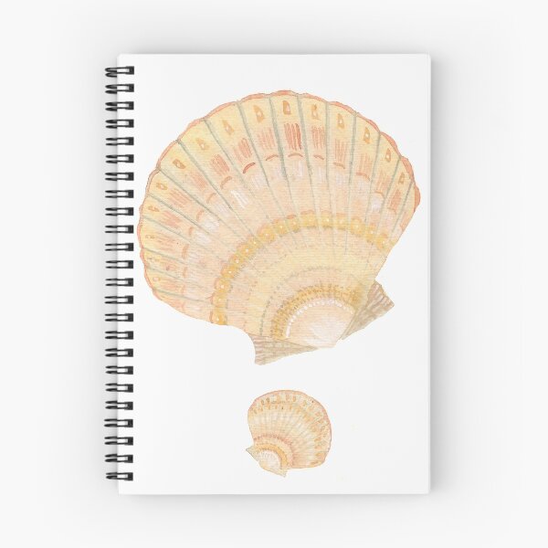 Item preview, scallop clam shell designed and sold by LisaLeQuelenec.