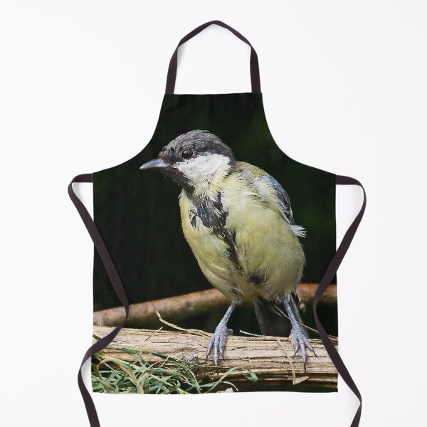 Item preview, r370/ finition 2022 - " Mésange Charbonniére - Okaio Créations Olavia-Olao designed and sold by o.okaïo.