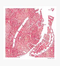 Histology Cities - Copenhagen Photographic Print