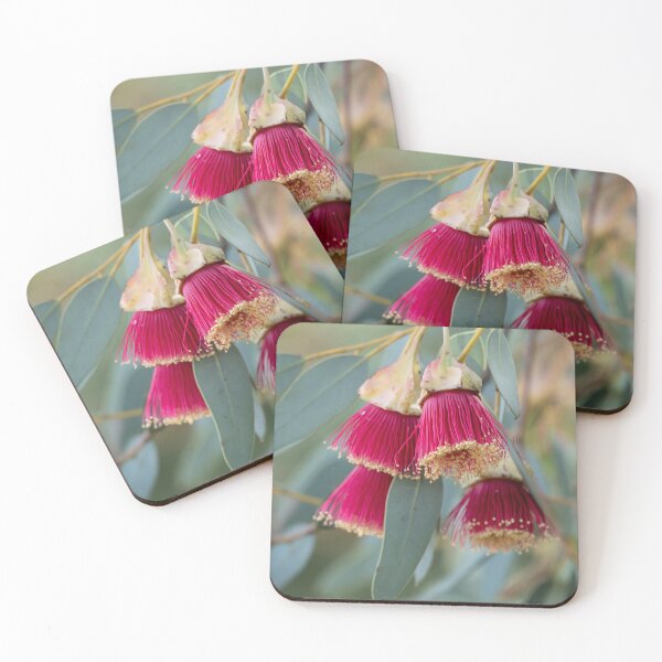 Item preview, Eucalyptus Alatissima designed and sold by SallyB.Photography.