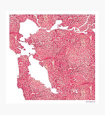 Histology Cities - San Francisco, CA Photographic Print