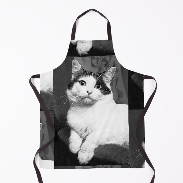 Item preview, r366/ New Finition nov 2022 " The " Pirate " un Chat love - Canon eos 5 28-70 mm f.2.8 avec Studio Portable et 3 Boites à Lumière Okaio by Olavia Olao designed and sold by o.okaïo.