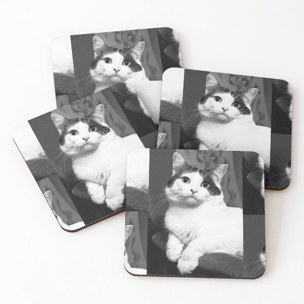 Item preview, r366/ New Finition nov 2022 " The " Pirate " un Chat love - Canon eos 5 28-70 mm f.2.8 avec Studio Portable et 3 Boites à Lumière Okaio by Olavia Olao designed and sold by o.okaïo.