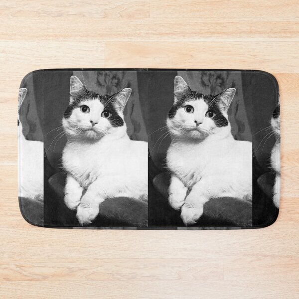 Item preview, r366/ New Finition nov 2022 " The " Pirate " un Chat love - Canon eos 5 28-70 mm f.2.8 avec Studio Portable et 3 Boites à Lumière Okaio by Olavia Olao designed and sold by o.okaïo.