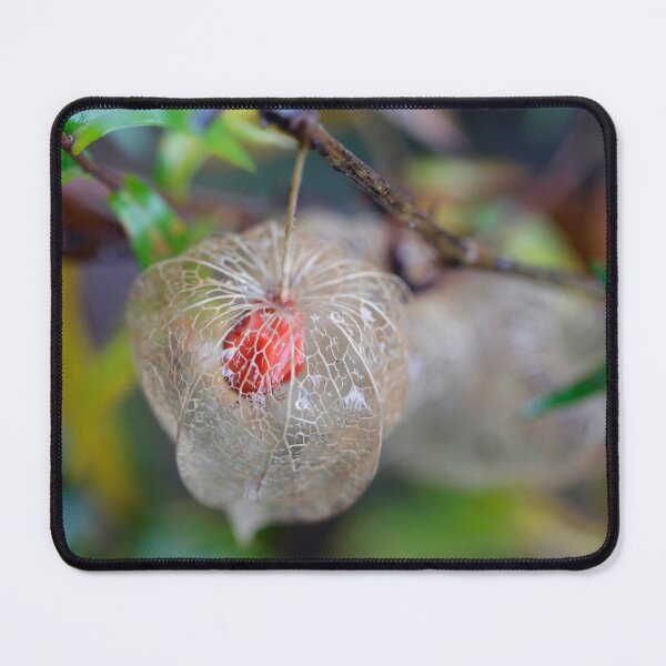 Item preview, Colorful physalis on nature background designed and sold by olena2552.
