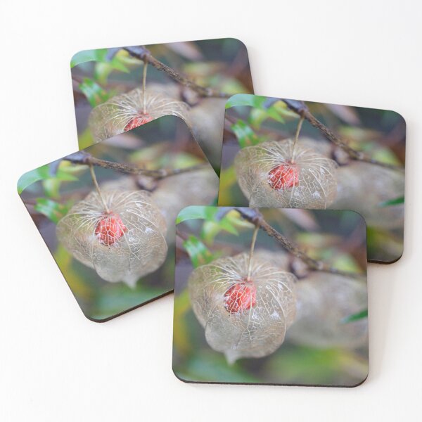 Item preview, Colorful physalis on nature background designed and sold by olena2552.