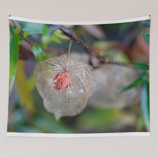 Item preview, Colorful physalis on nature background designed and sold by olena2552.