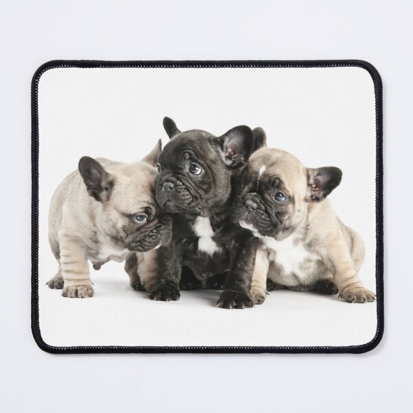 Item preview, Frenchie Pals designed and sold by ernest123.