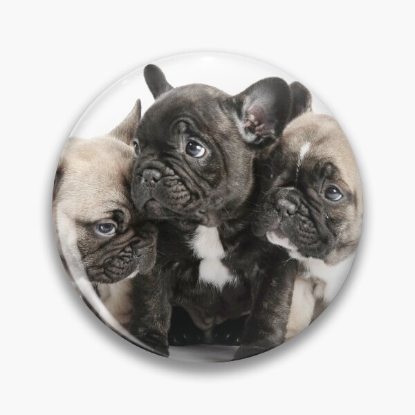 Item preview, Frenchie Pals designed and sold by ernest123.