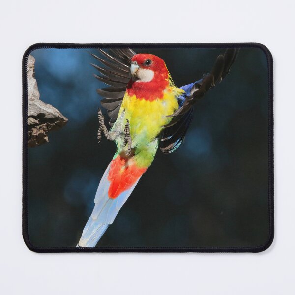 Item preview, Rosella Touchdown designed and sold by Phillip Weyers.
