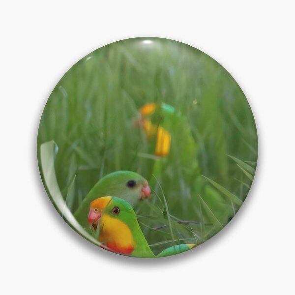 Item preview, Superbs in the Grass designed and sold by Phillip Weyers.