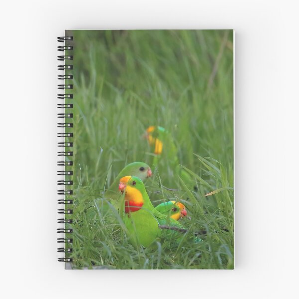 Item preview, Superbs in the Grass designed and sold by Phillip Weyers.