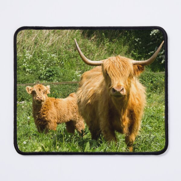 Item preview, Mother and Calf designed and sold by Jane Stanley Photography.