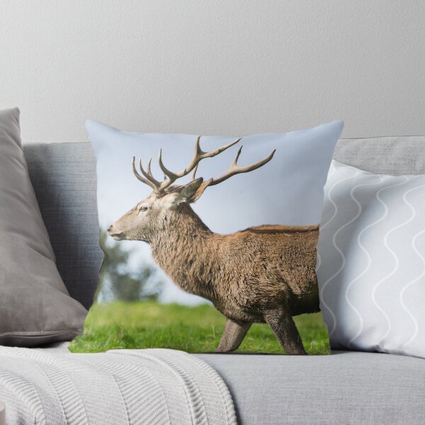 Item preview, Stag Deer - ¡listo para la pelea! designed and sold by John Stoves.
