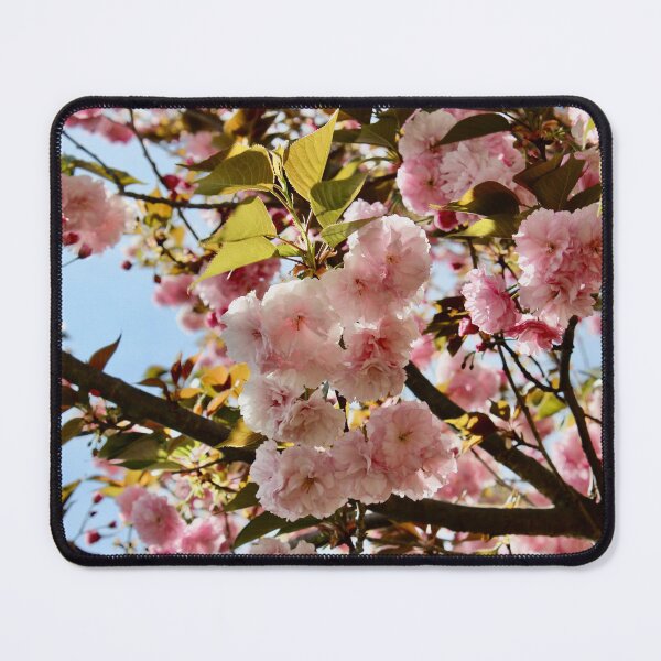 Item preview, Cherry Blossoms Virginia designed and sold by ktmobrien.