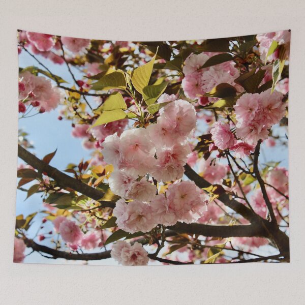Item preview, Cherry Blossoms Virginia designed and sold by ktmobrien.