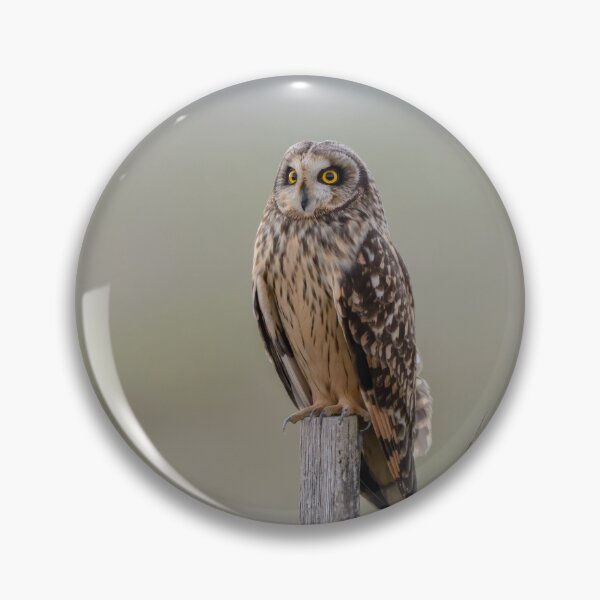 Item preview, Owl perching at dusk designed and sold by sgrphotography.