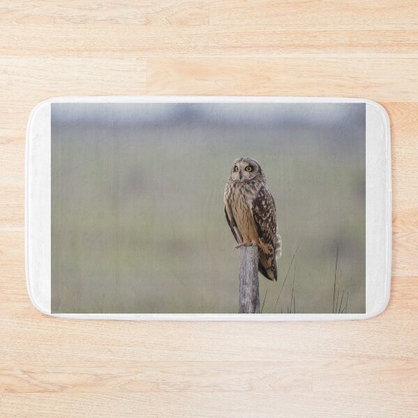 Item preview, Owl perching at dusk designed and sold by sgrphotography.