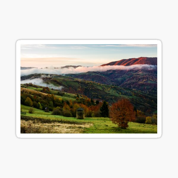 rural area on foggy autumn morning Sticker