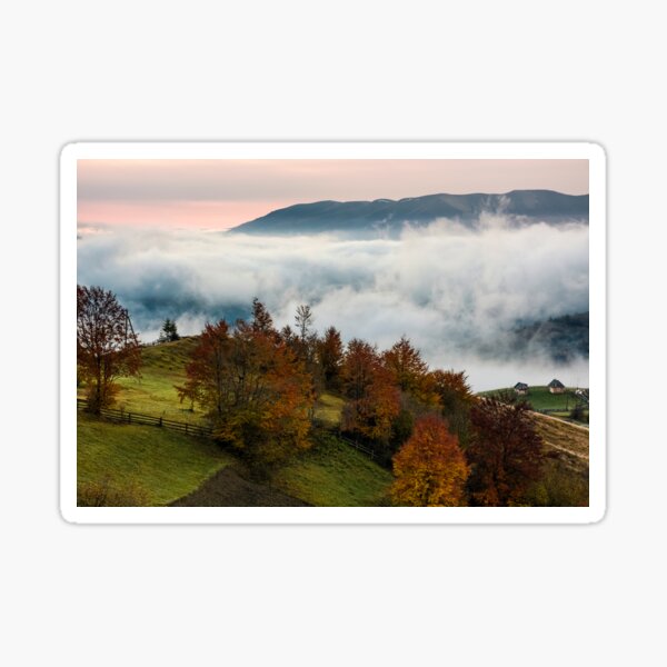 orchard with red foliage in foggy mountains Sticker