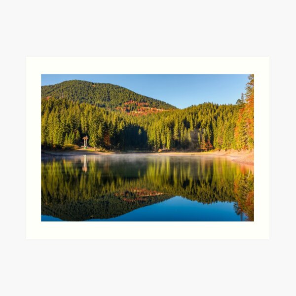 forest reflection on foggy surface of Synevyr lake Art Print