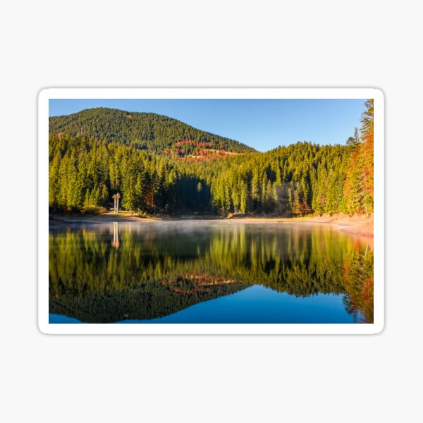 forest reflection on foggy surface of Synevyr lake Sticker