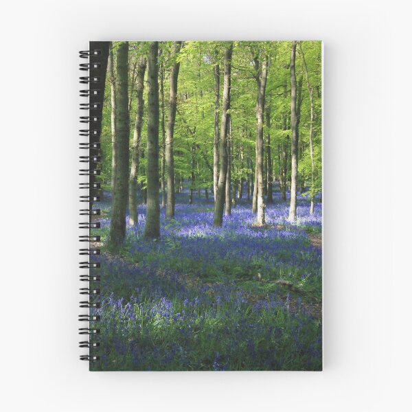 Item preview, Bluebells,Dockey Wood, Ashridge designed and sold by kkkkatieartist .