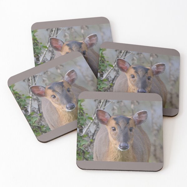 Item preview, Muntjac Face designed and sold by ClaireChown.