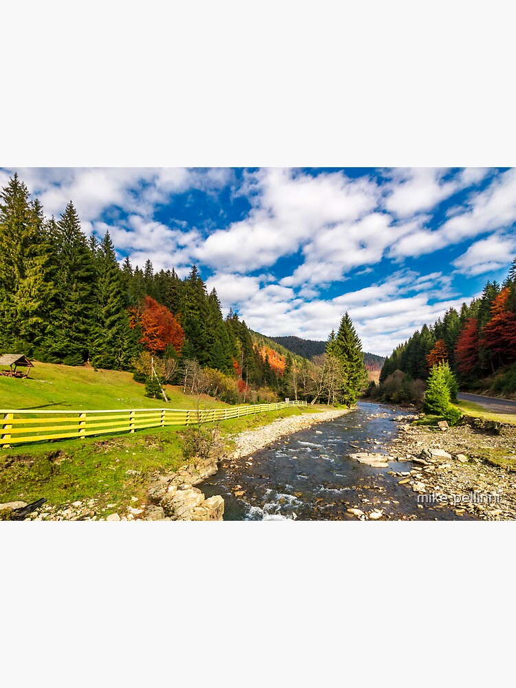 small river in spruce forested mountains by mike-pellinni