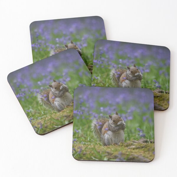 Item preview, Squirrel in bluebells II designed and sold by ClaireChown.