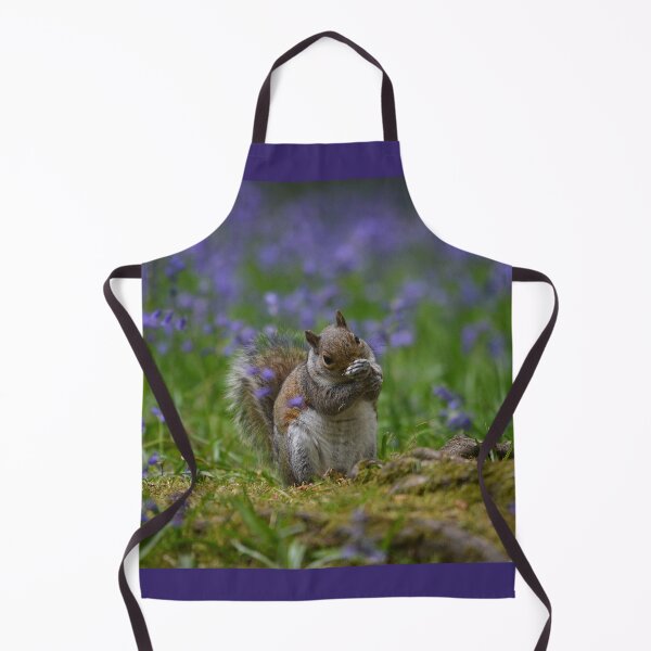 Item preview, Squirrel in bluebells II designed and sold by ClaireChown.