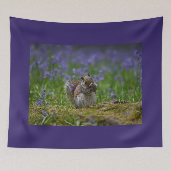 Item preview, Squirrel in bluebells II designed and sold by ClaireChown.