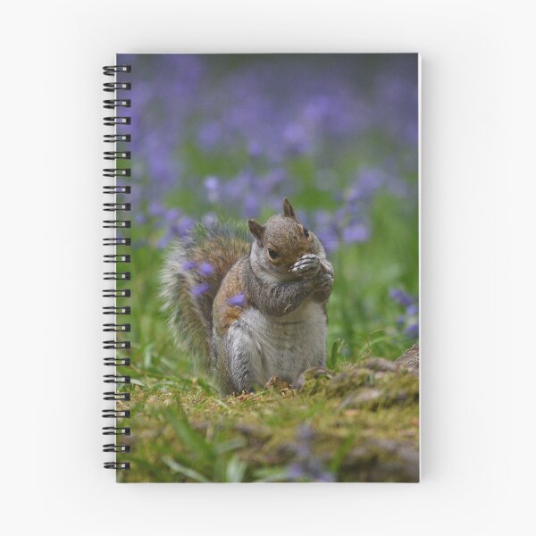 Item preview, Squirrel in bluebells II designed and sold by ClaireChown.