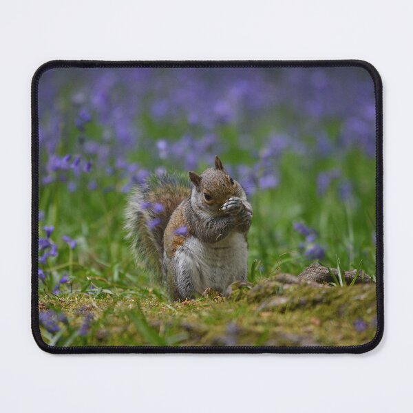 Item preview, Squirrel in bluebells II designed and sold by ClaireChown.